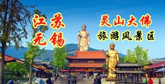 看一下日韩操逼视频江苏无锡灵山大佛旅游风景区
