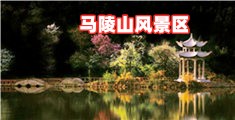 啊啊啊啊...肏我...啊啊啊啊YYY毛片