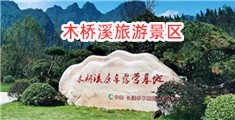 啊啊啊操死我了小骚逼都湿了视频亚洲